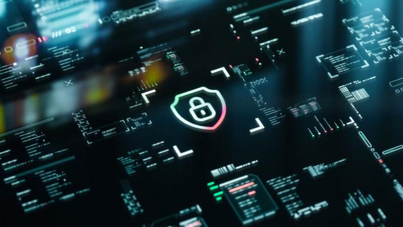 龙湾区软件开发公司
